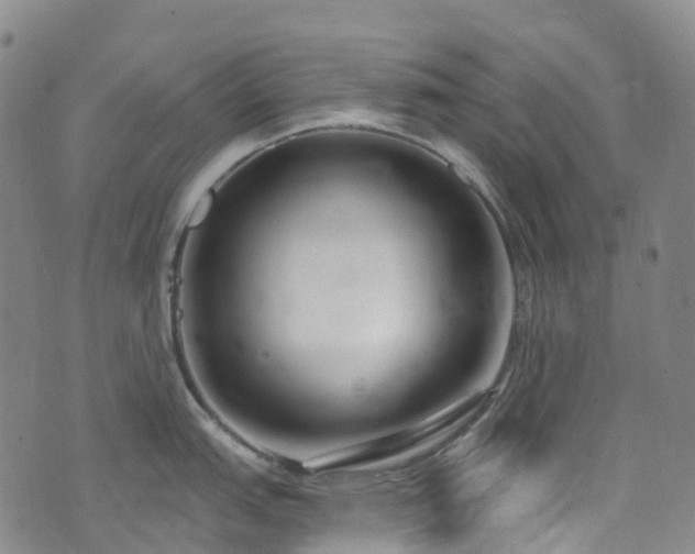 X0000074941151200609011109