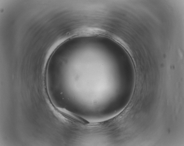 X0000074941152200609011109