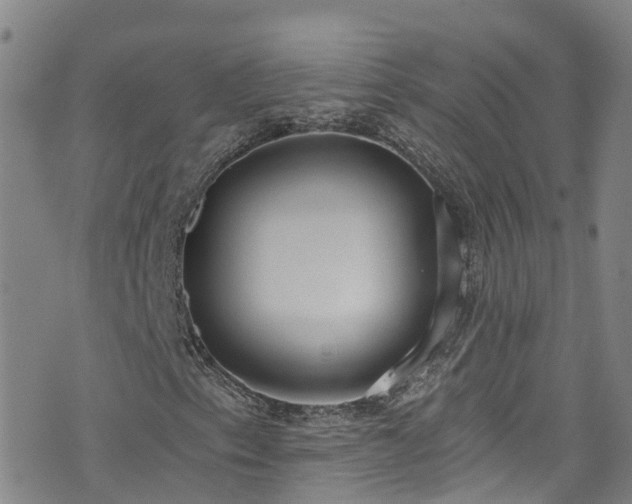 X0000074941153200609011108