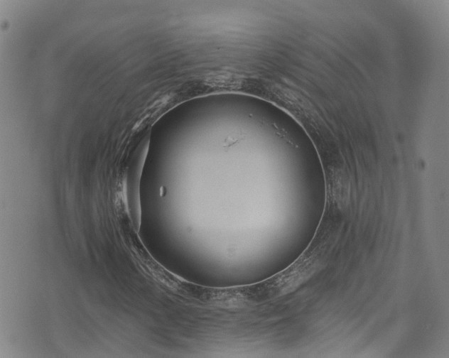 X0000074941154200609011108