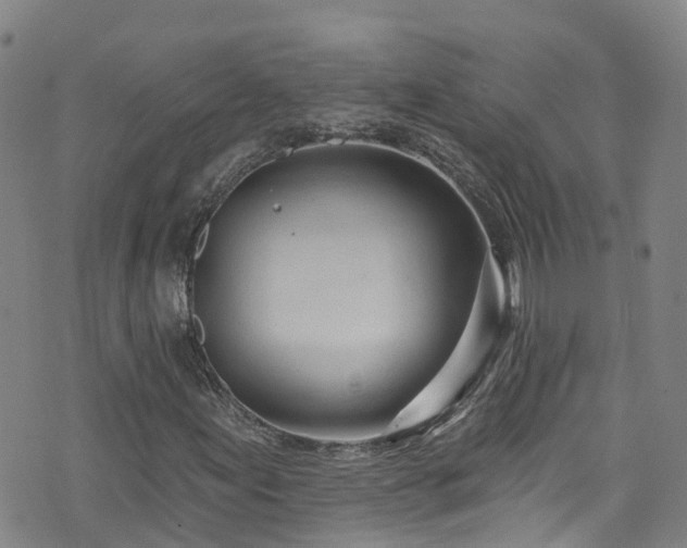 X0000074941155200609011108