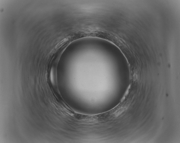 X0000074941156200609011108