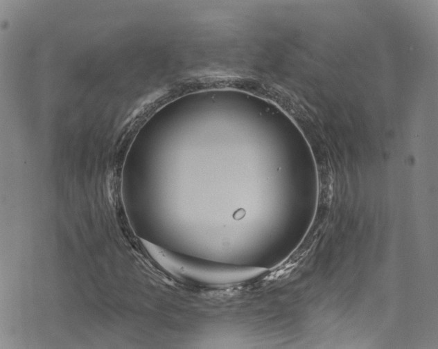 X0000074941157200609011108