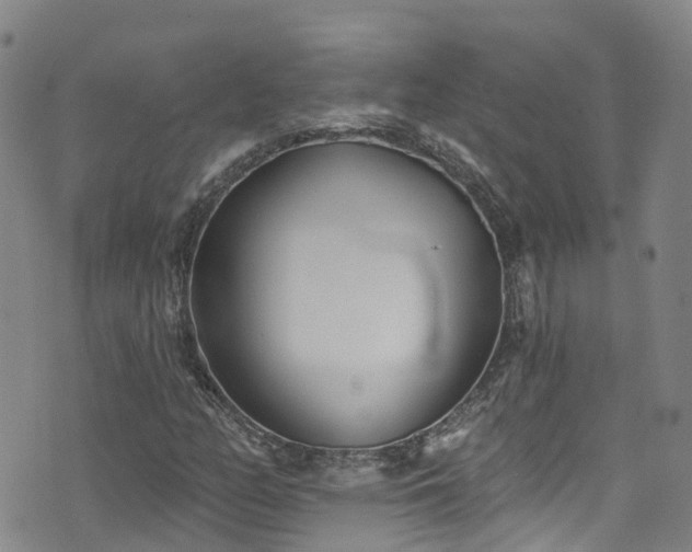 X0000074941158200609011108