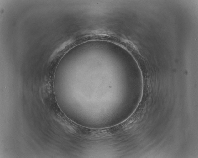 X0000074941159200609011108