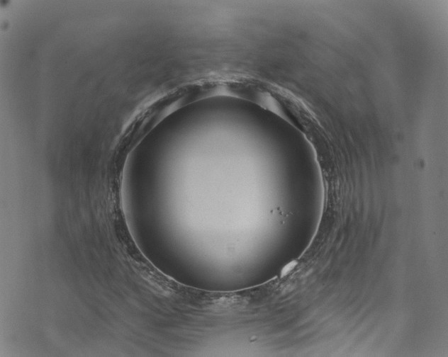 X0000074941160200609011108