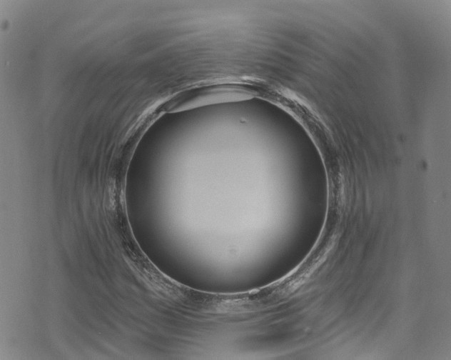 X0000074941161200609011108