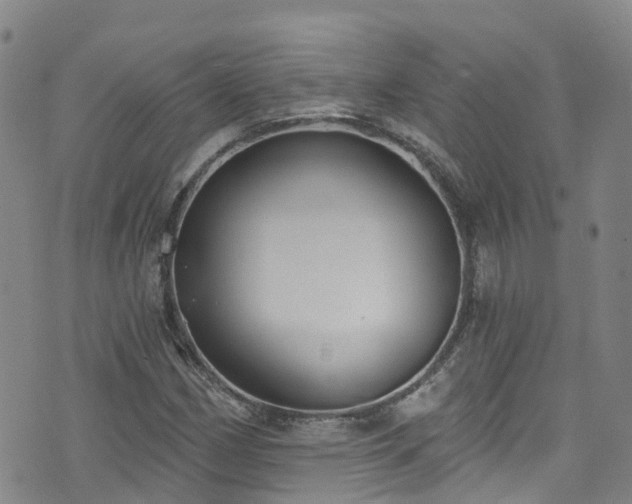 X0000074941162200609011108