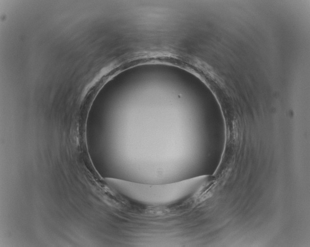 X0000074941165200609011108