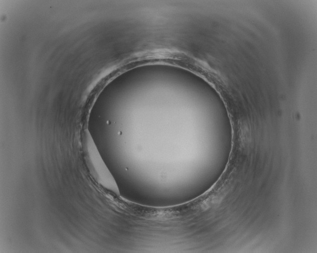 X0000074941166200609011108