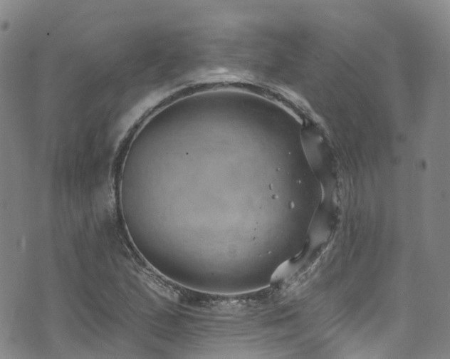 X0000074941167200609011108