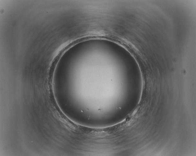 X0000074941168200609011108