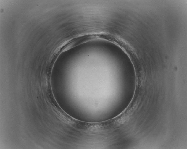 X0000074941169200609011108