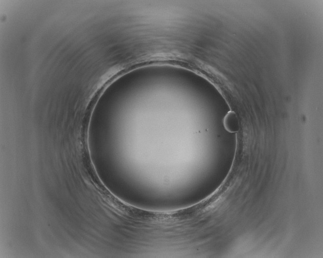 X0000074941170200609011108