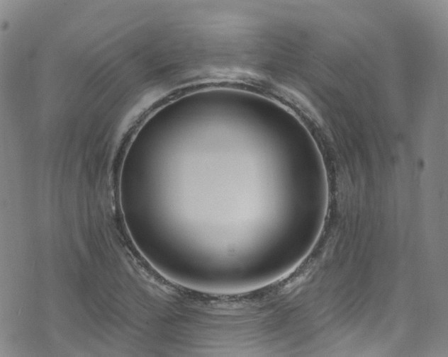 X0000074941172200609011108