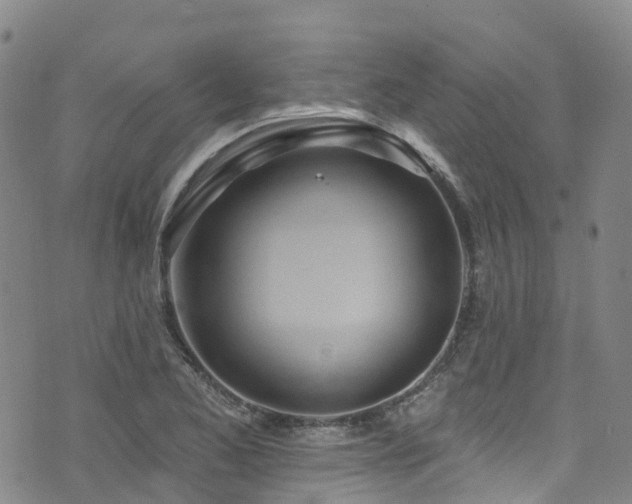 X0000074941173200609011108