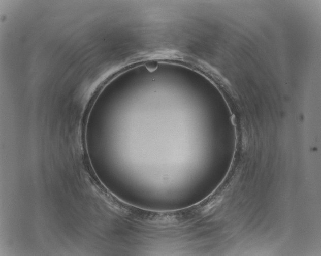 X0000074941174200609011108