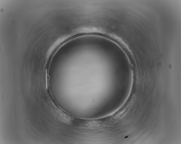 X0000074941175200609011108