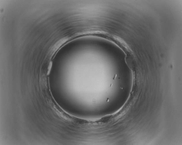 X0000074941177200609011108