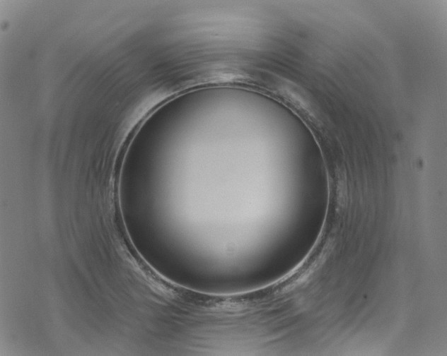 X0000074941178200609011108