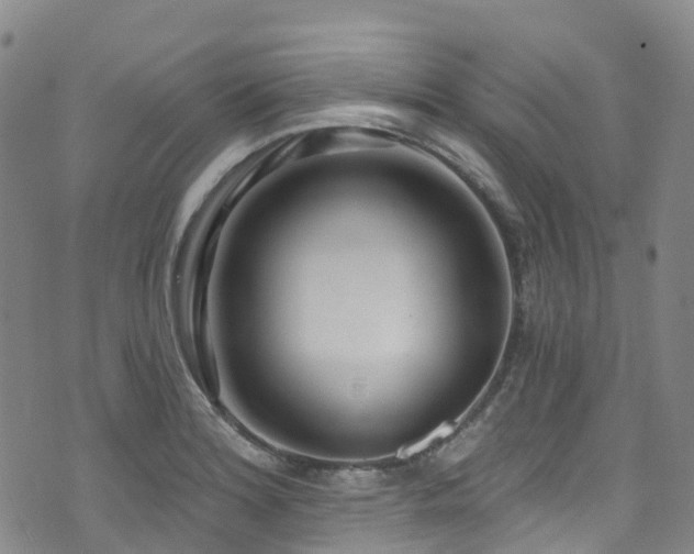 X0000074941180200609011108