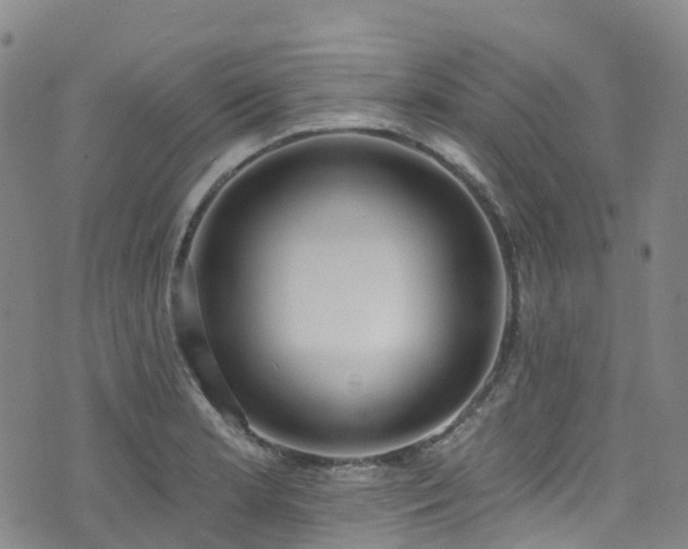 X0000074941181200609011108