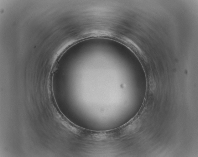 X0000074941182200609011108