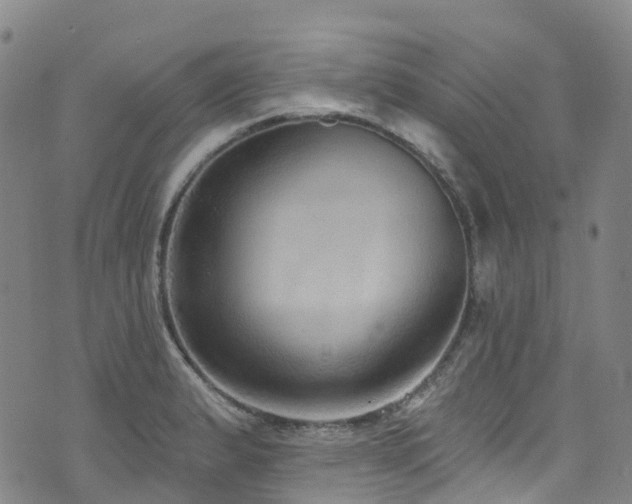 X0000074941183200609011108