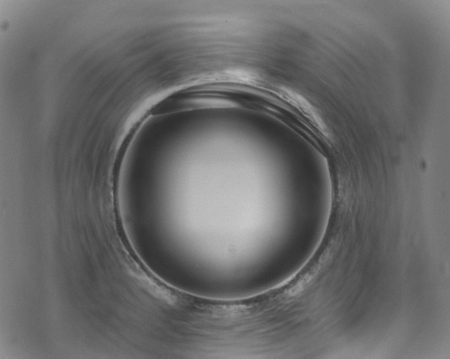 X0000074941184200609011108