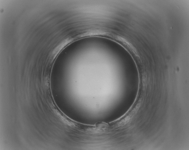 X0000074941185200609011108