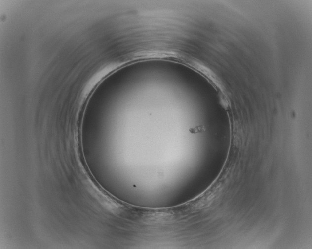 X0000074941187200609011108