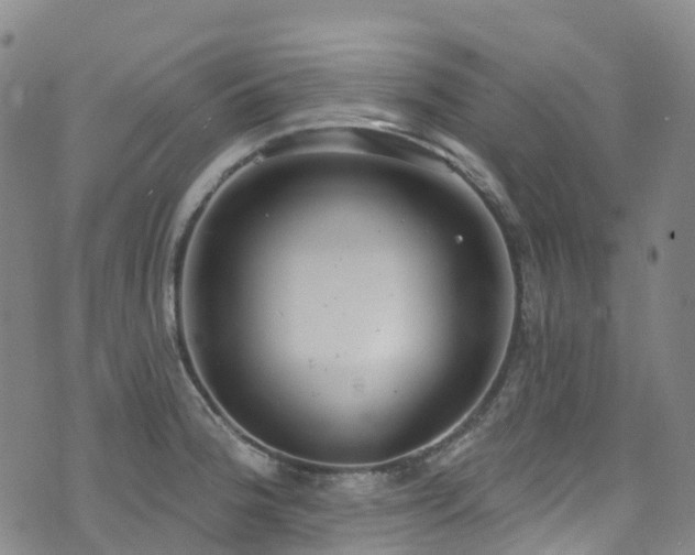 X0000074941188200609011108