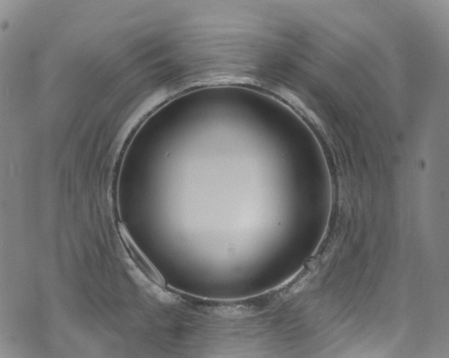 X0000074941189200609011108