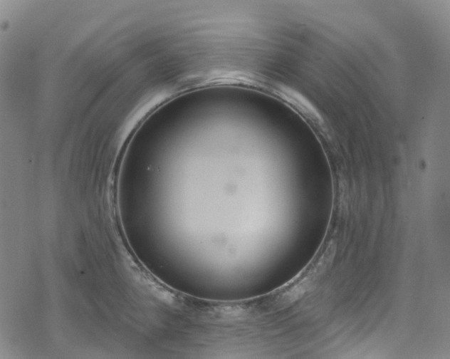 X0000074941190200609011108