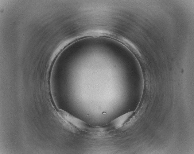 X0000074941192200609011108