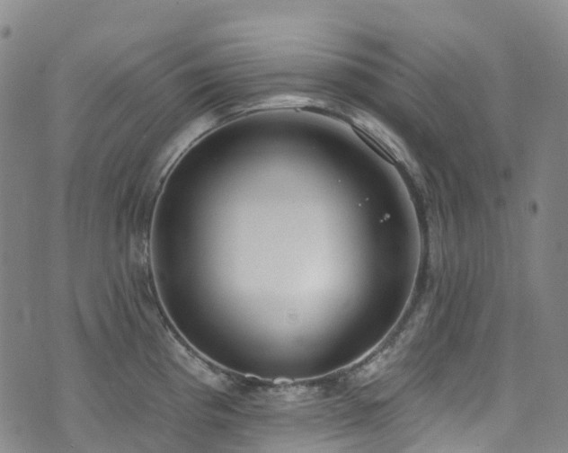 X0000074941193200609011108