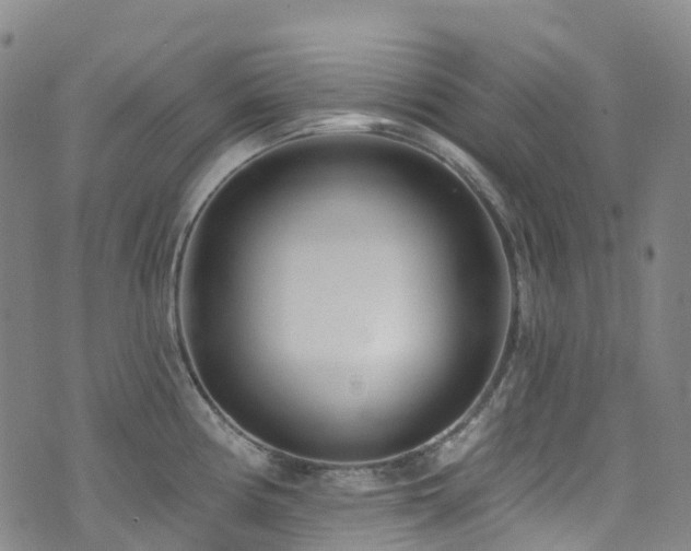 X0000074941194200609011108