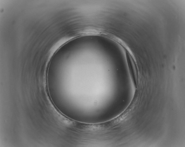 X0000074941195200609011108