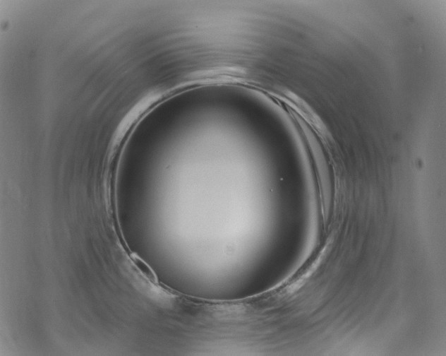 X0000074941196200609011108