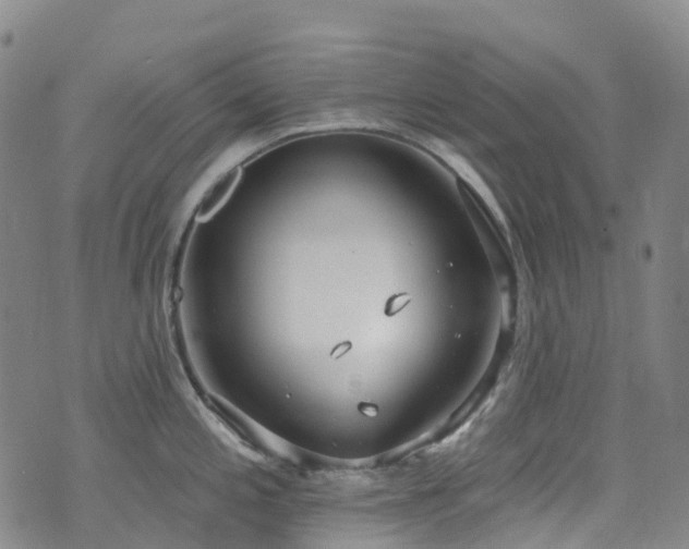 X0000074941197200609011108