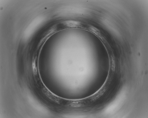 X0000074941198200609011108