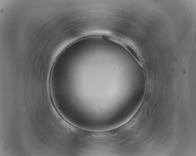 X0000074941199200609011108