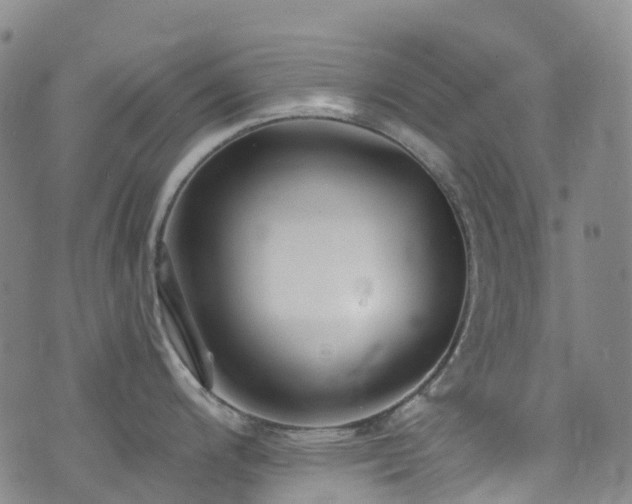 X0000074941200200609011108