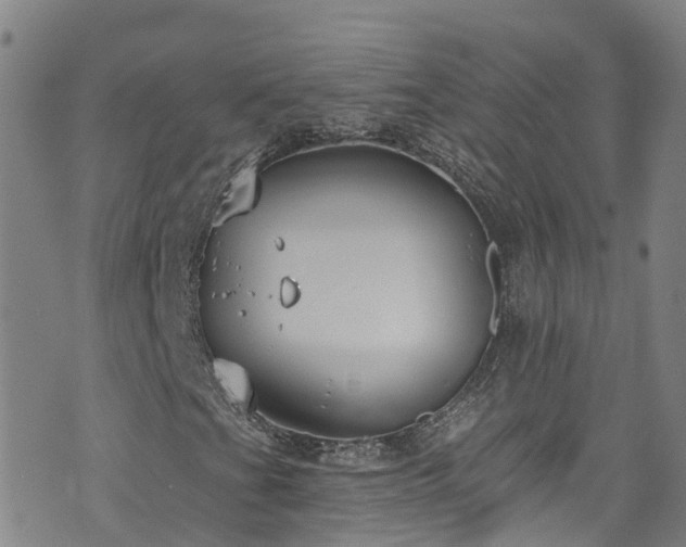 X0000074941201200609011107