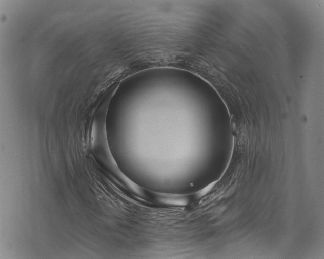 X0000074941202200609011107