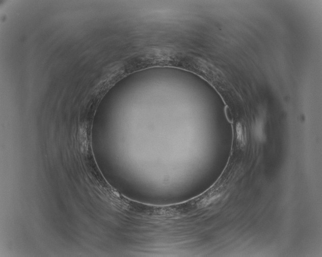 X0000074941203200609011107