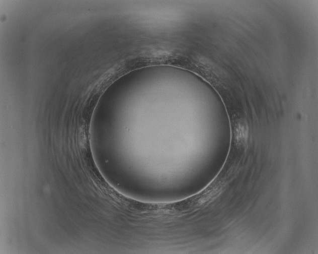 X0000074941204200609011107