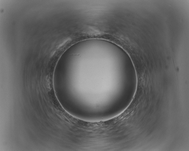 X0000074941205200609011107