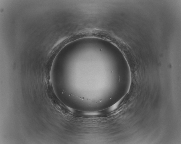 X0000074941206200609011107