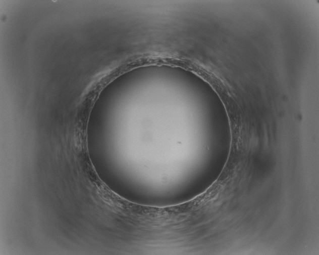 X0000074941207200609011107